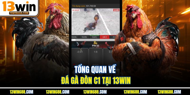 Tổng quan về đá gà đòn C1 tại 13Win